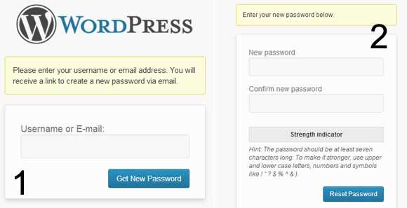Как восстановить пароль на сайте WordPress если его забыли